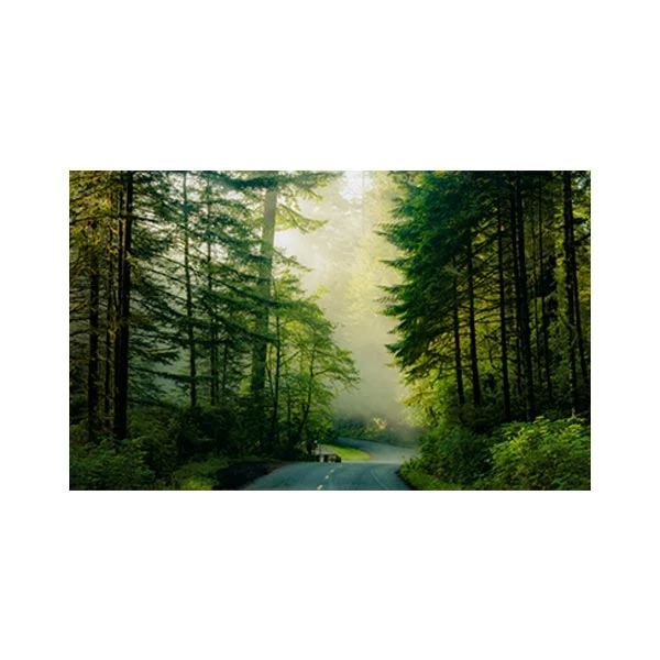  پادری مدل گل و طبیعت کد M35M001-MF0144 سایز 76x46 سانتی متر