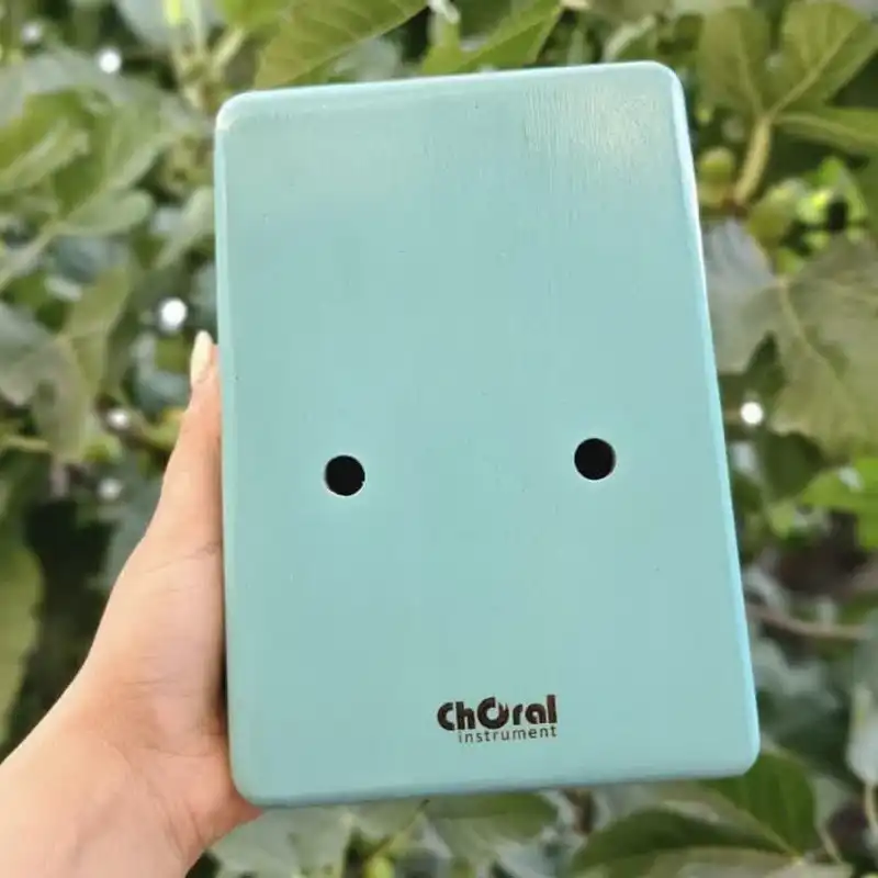 کالیمبا کُرال طرح نقاشی مدل حفره دار حرفه ای