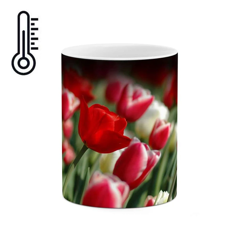 ماگ حرارتی کاکتی مدل گل کد mgh11988