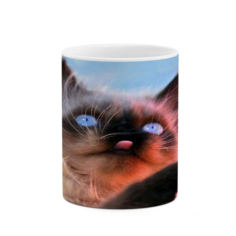 ماگ کاکتی مدل گربه کد mgh16818