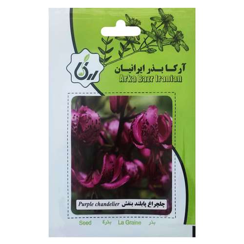 بذر گل چلچراغ پابلند بنفش آرکا بذر ایرانیان کد 138-ARK