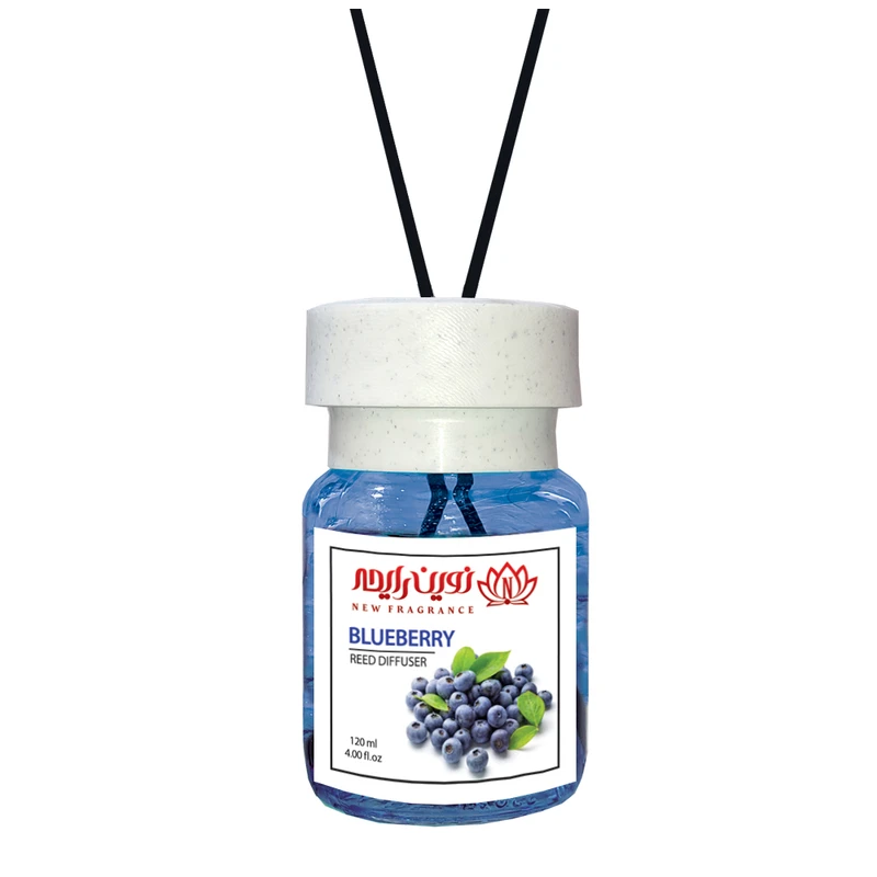 خوشبوکننده هوا نوین رایحه مدل بلوبری حجم 120 میلی لیتر