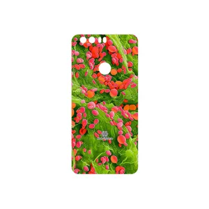 MAHOOT Atom Universe 3 Cover Sticker for Honor 8