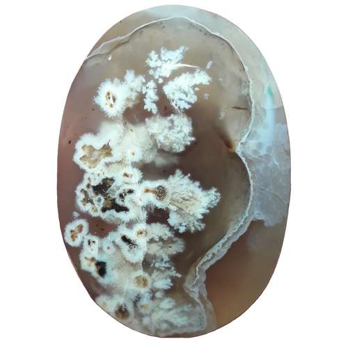 سنگ عقیق شجر کد 36