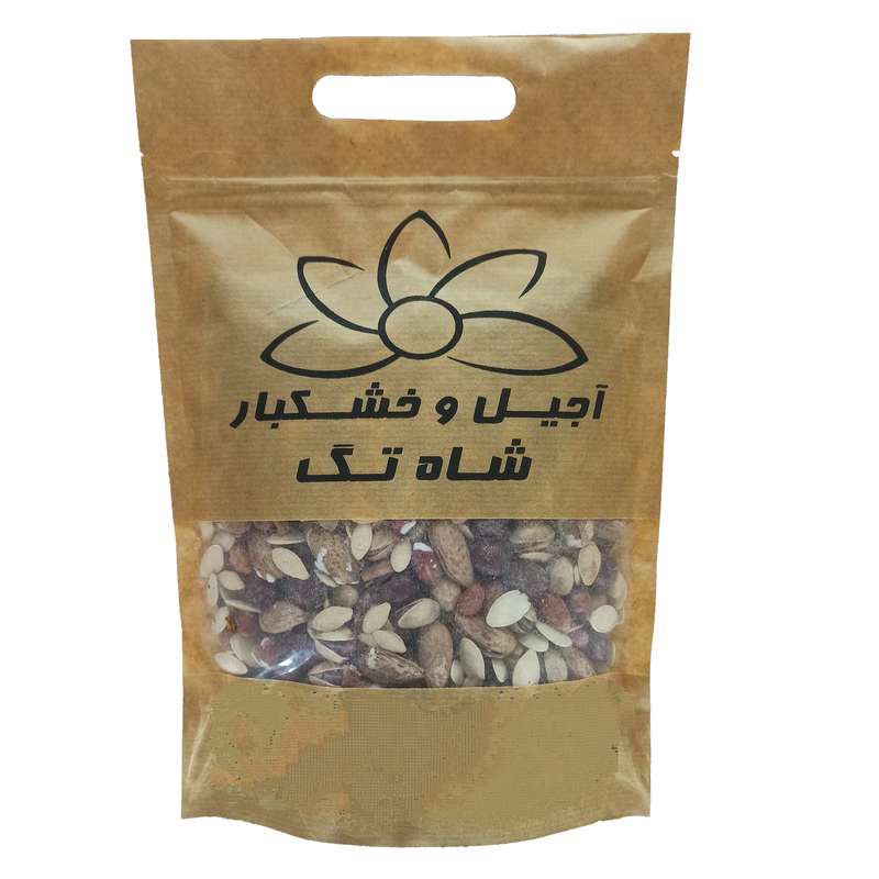آجیل مخلوط شور شاه تگ - 450 گرم