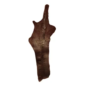 چرم طبیعی مدل ساق شتر مرغ کد OL133