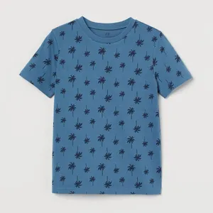 تی شرت آستین کوتاه پسرانه اچ اند ام مدل 0736198046