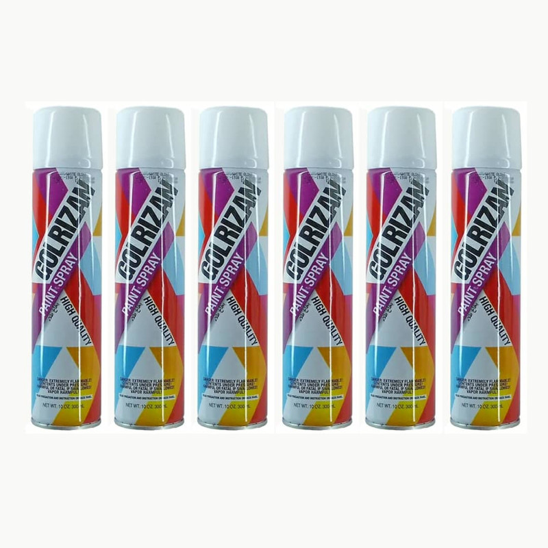 اسپری رنگ شیشه مات کن گل ریزان مدل 6 حجم 300 میلی لیتر مجموعه 6 عددی
