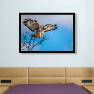 تابلو مدل عقاب باشکوه