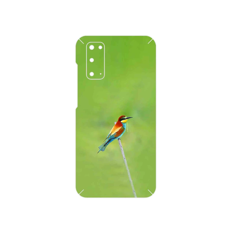 برچسب پوششی ماهوت مدل European bee-eater مناسب برای گوشی موبایل سامسونگ Galaxy S20
