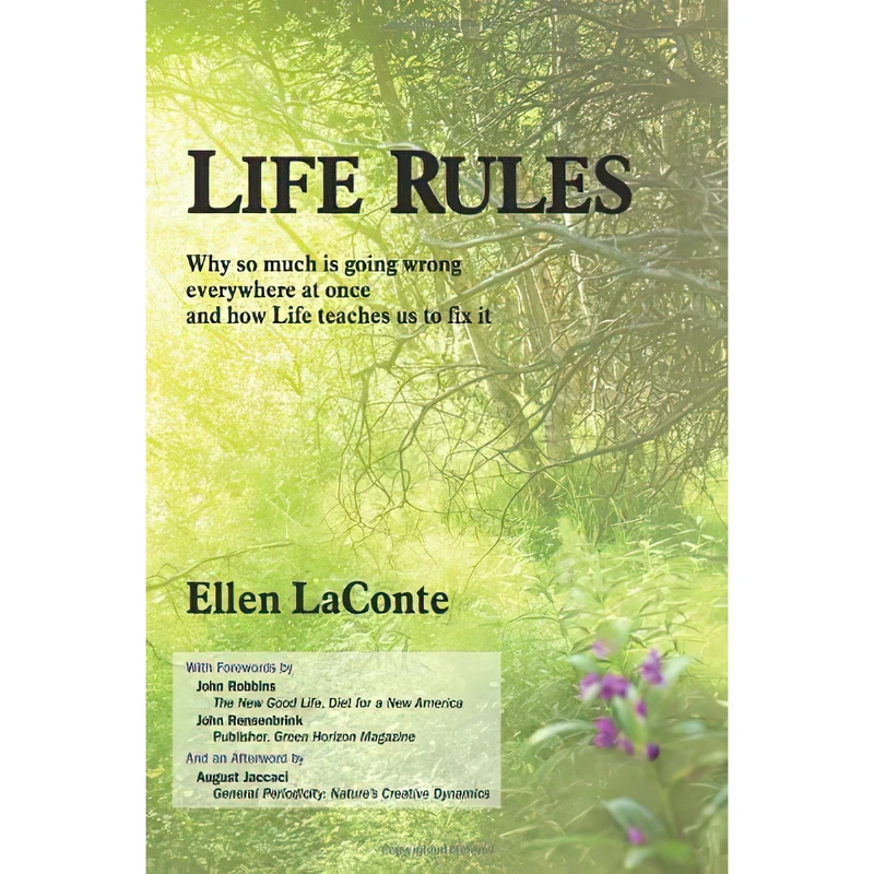 کتاب Life Rules اثر Ellen LaConte انتشارات Green Horizon/iUniverse.com