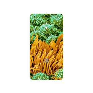 MAHOOT Atom Universe 6 Cover Sticker for Nokia 2.1