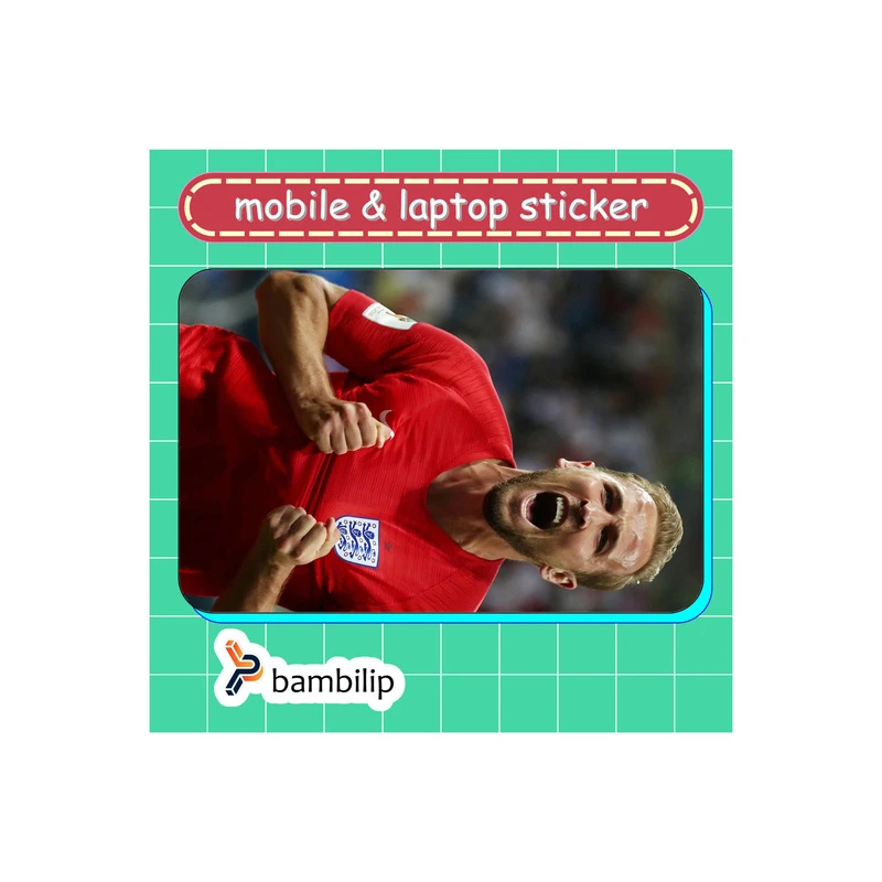 استیکر بامبیلیپ مدل کارت عابر طرح هری کین کد 4017736