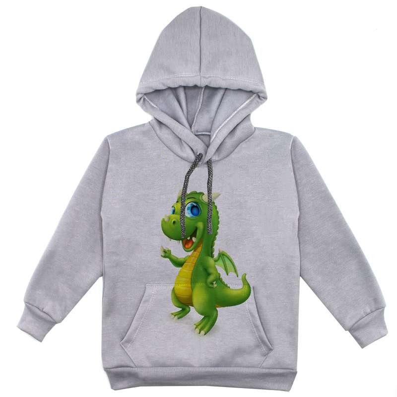 هودی پسرانه مدل دانیاسور F29 رنگ طوسی