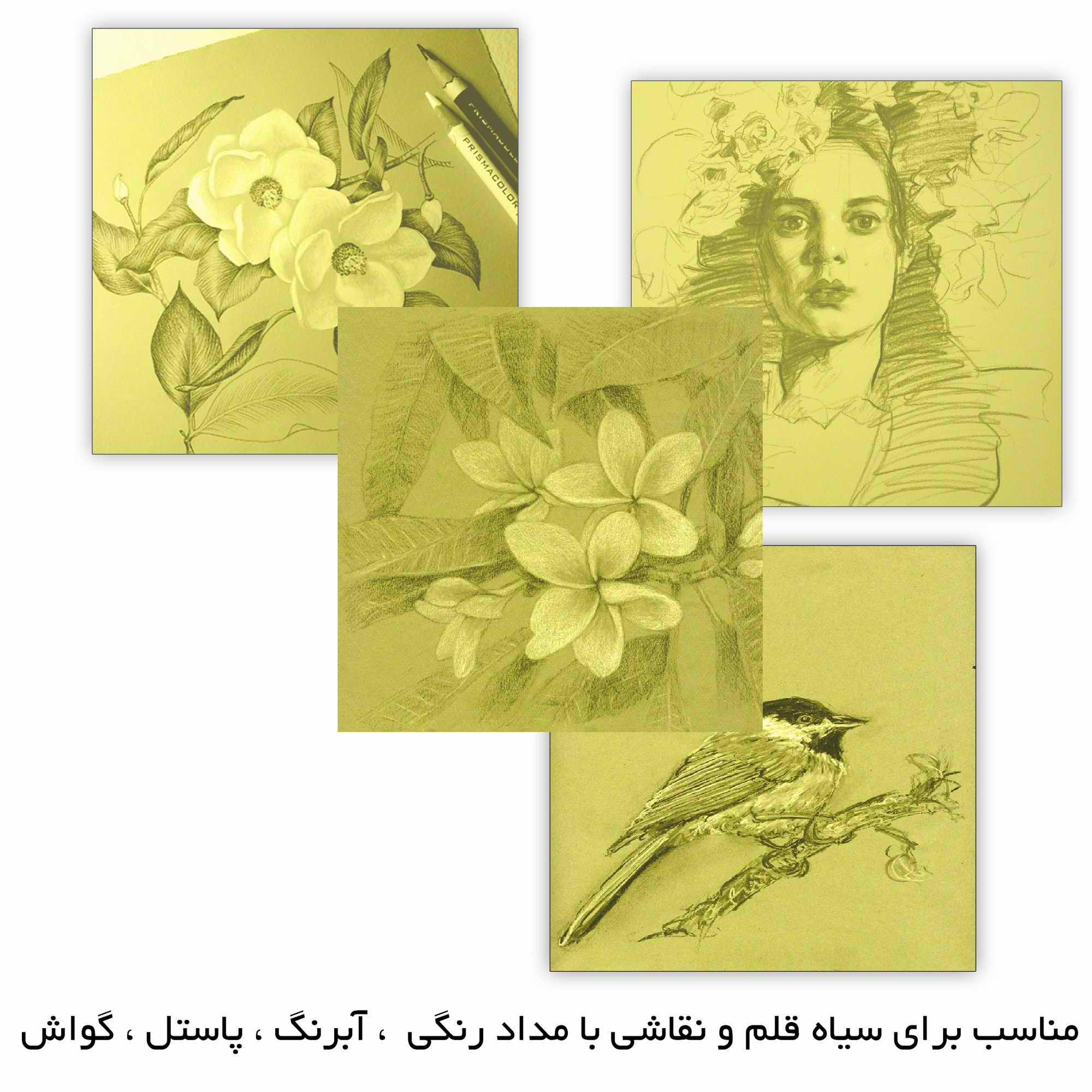 مقوا مستر راد مدل نقاشی کد 1665 سایز 9.5x9.5 سانتیمتر بسته 100 عددی مقوا مستر راد مدل نقاشی کد 1665 سایز 9.5x9.5 سانتیمتر بسته 100 عددی