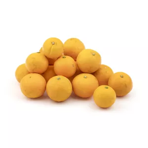 پرتقال آبگیری Fresh وزن 2.5 کیلوگرم