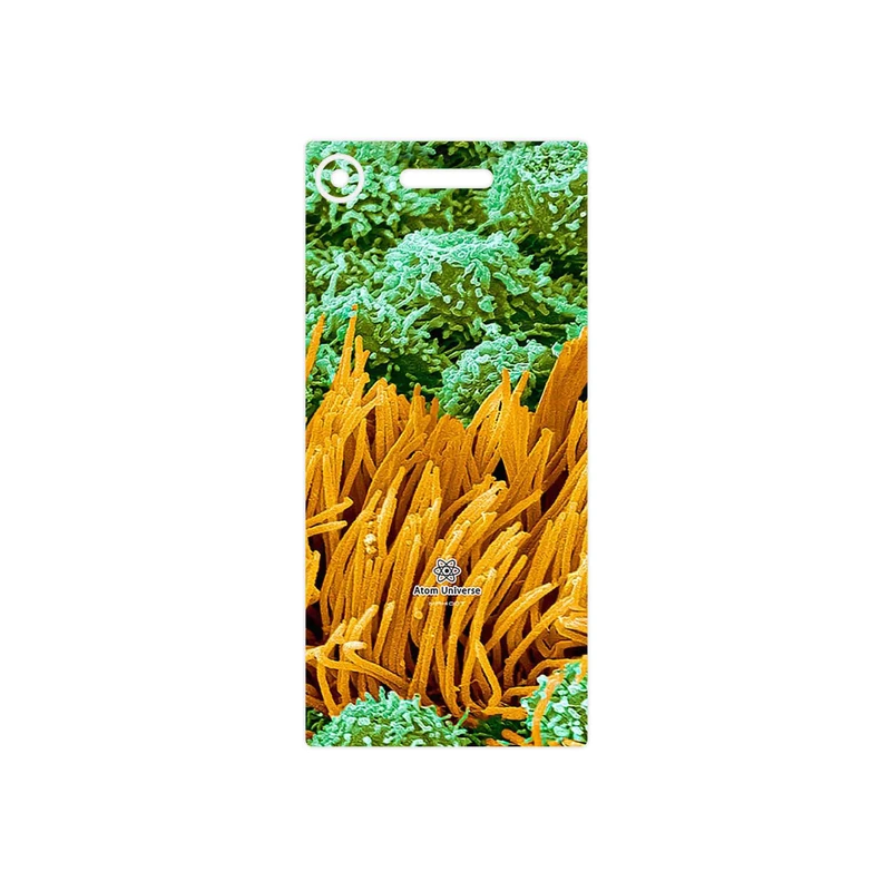 برچسب پوششی ماهوت مدل Atom Universe 6 مناسب برای گوشی موبایل سونی Xperia XZ1