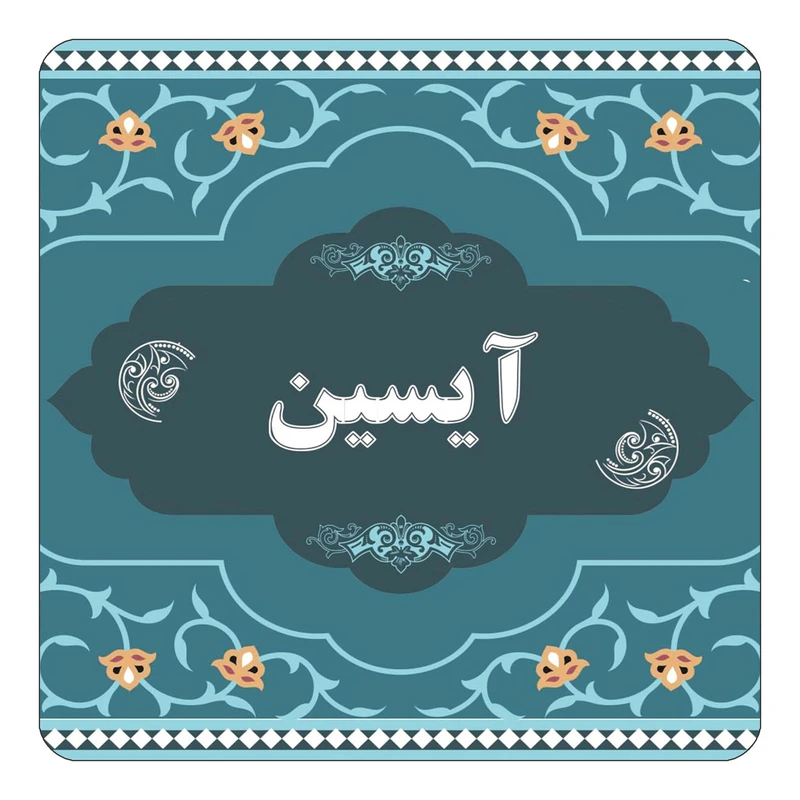 مگنت کاکتی مدل اسم آیسین کد mn68575