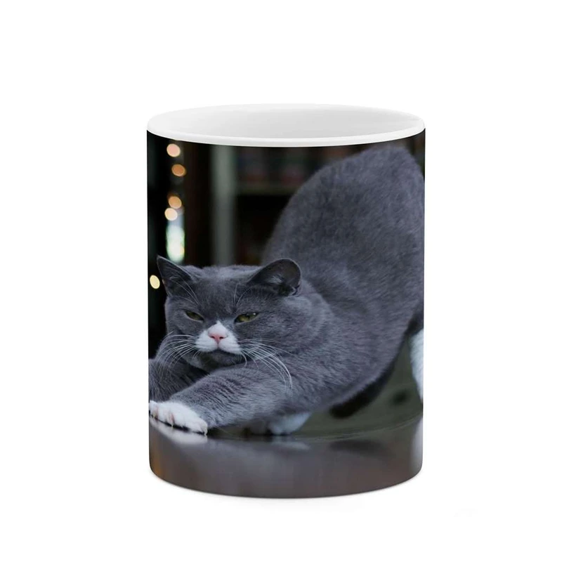 ماگ کاکتی مدل گربه کد mgh16744