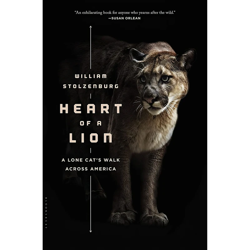کتاب Heart of a Lion اثر William Stolzenburg انتشارات Bloomsbury 