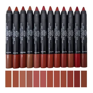 رژ لب مدادی مات رویال پریما مدل Bojie مجموعه 12 عددی