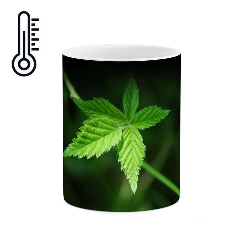 ماگ حرارتی کاکتی مدل برگ کد mgh12208