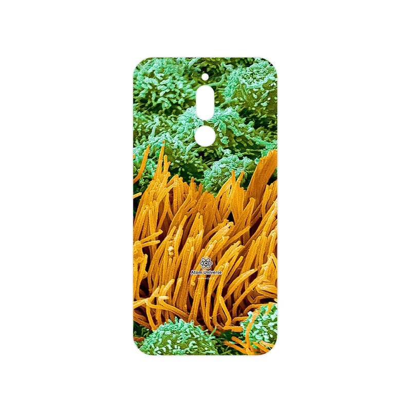 برچسب پوششی ماهوت مدل Atom Universe 6 مناسب برای گوشی موبایل شیائومی Redmi 8