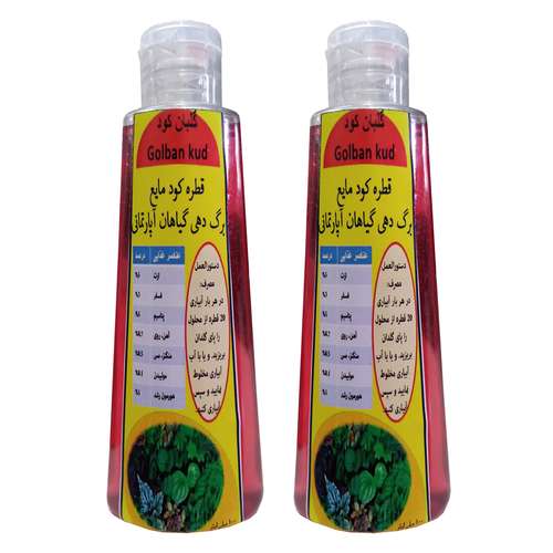 کود مایع قطره چکانی برگ دهی گیاهان آپارتمانی مدل Fast growth حجم 200 میلی لیتر بسته دو عددی