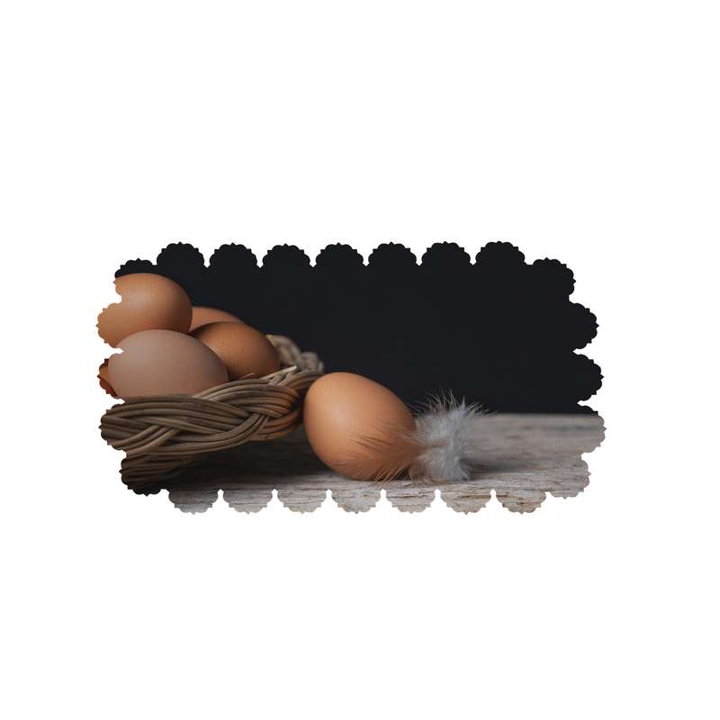  رومیزی طرح تخم مرغ کد 8334R