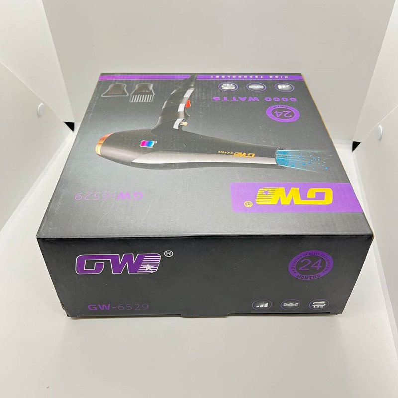 سشوار حرفه ای جی دبلیو مدل GW-6529