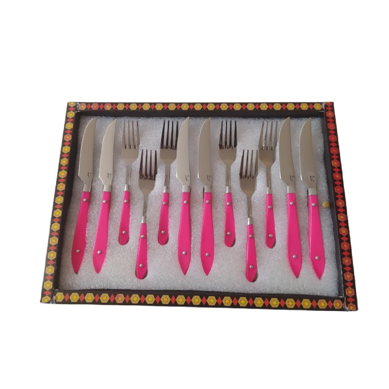  ست کارد و چنگال میوه خوری 12 پارچه مهدی کد 21