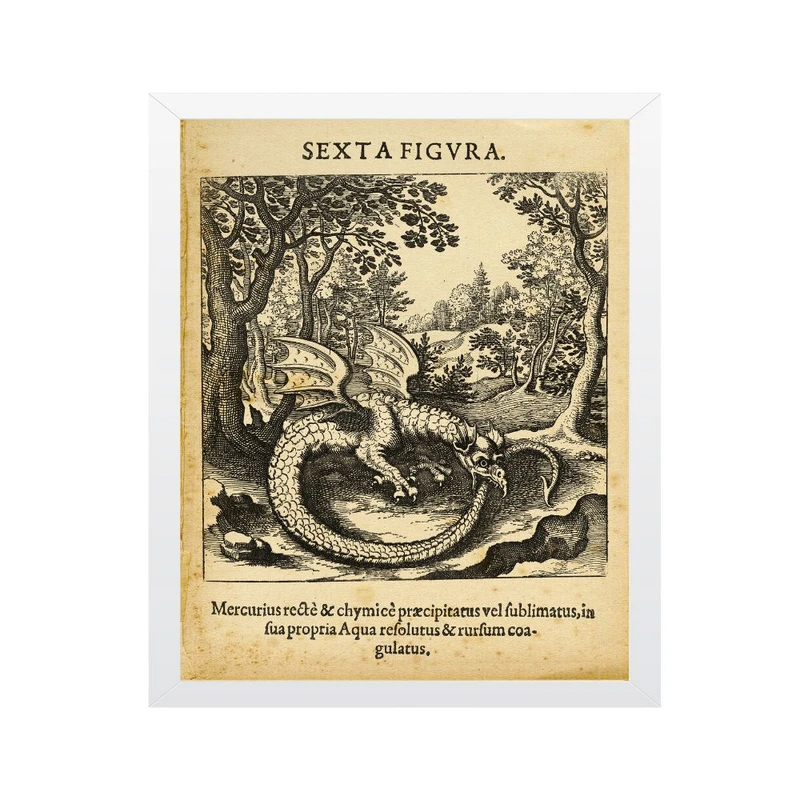 تابلو مدل چاپ شکل ششم با هنر مار