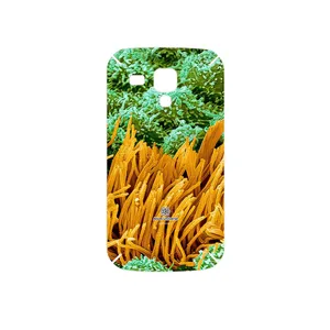 MAHOOT Atom Universe 6 Cover Sticker for Samsung Galaxy S Duos GT S7562