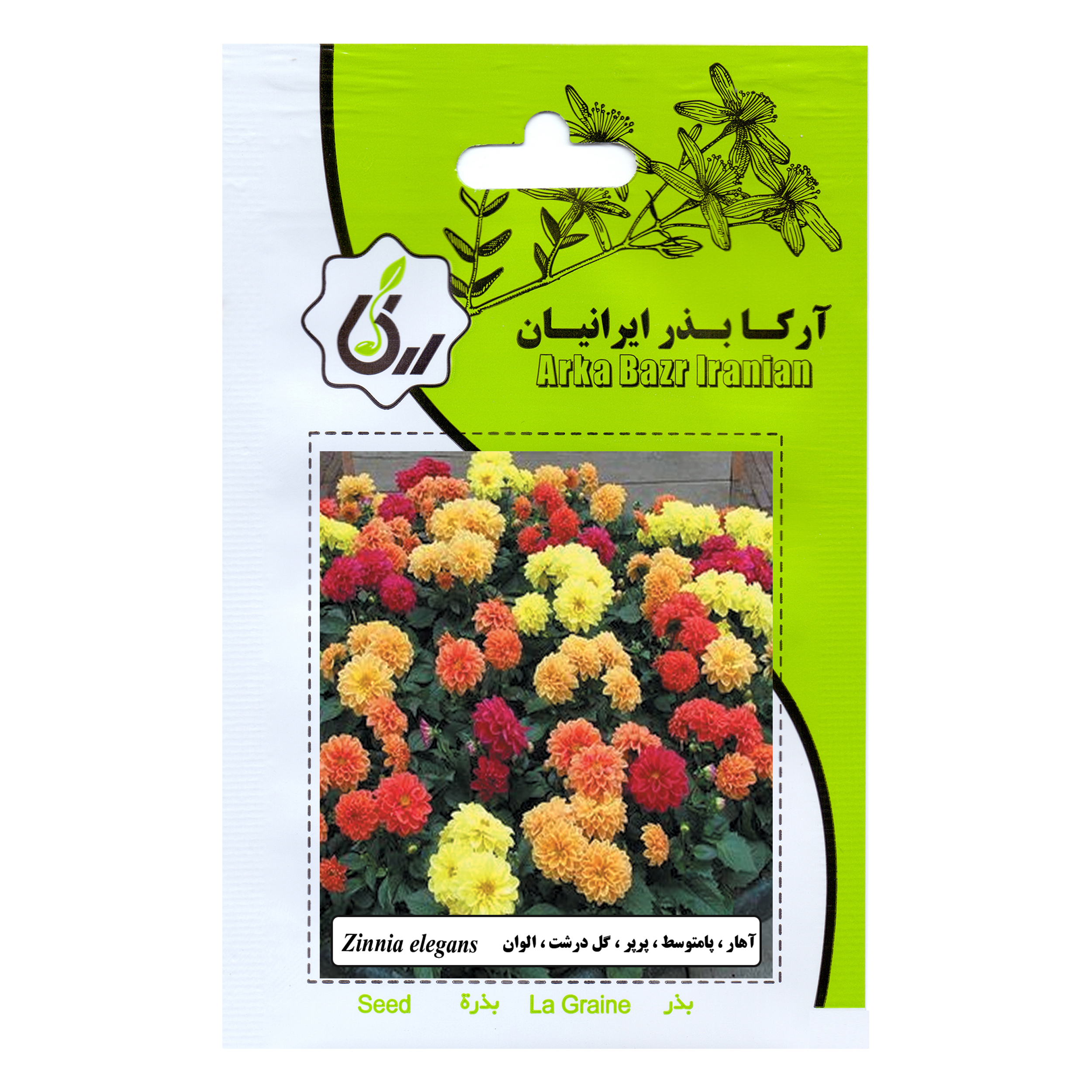 بذر گل آهار پامتوسط پرپر گل درشت الوان آرکا بذر ایرانیان کد 106-ARK
