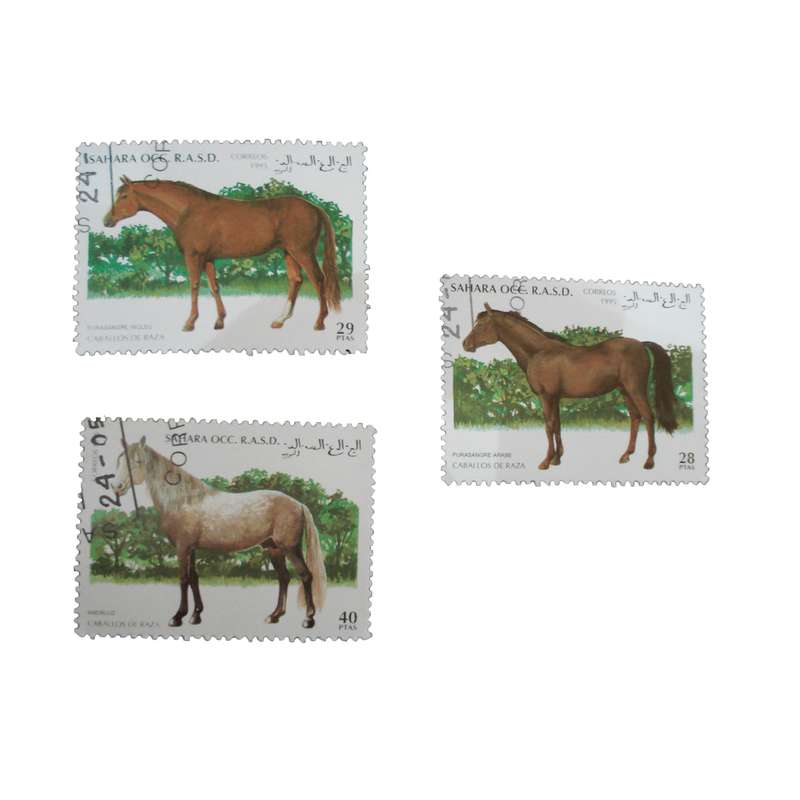 تمبر یادگاری مدل اسب کد DS1552 مجموعه 3 عددی