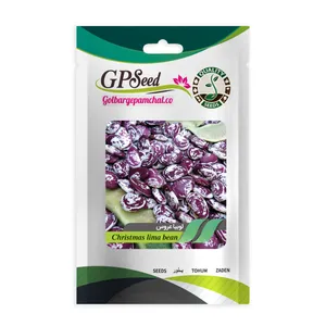 بذر لوبیا عروس گلبرگ پامچال کد GPF-337