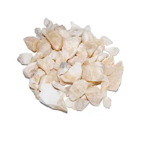 سنگ تزیینی آکواریوم طرح درشت کد 48810 وزن 4 کیلو گرم 