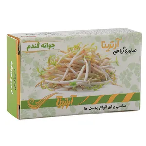 صابون شستشو آرترینا مدل جوانه گندم وزن 35 گرم
