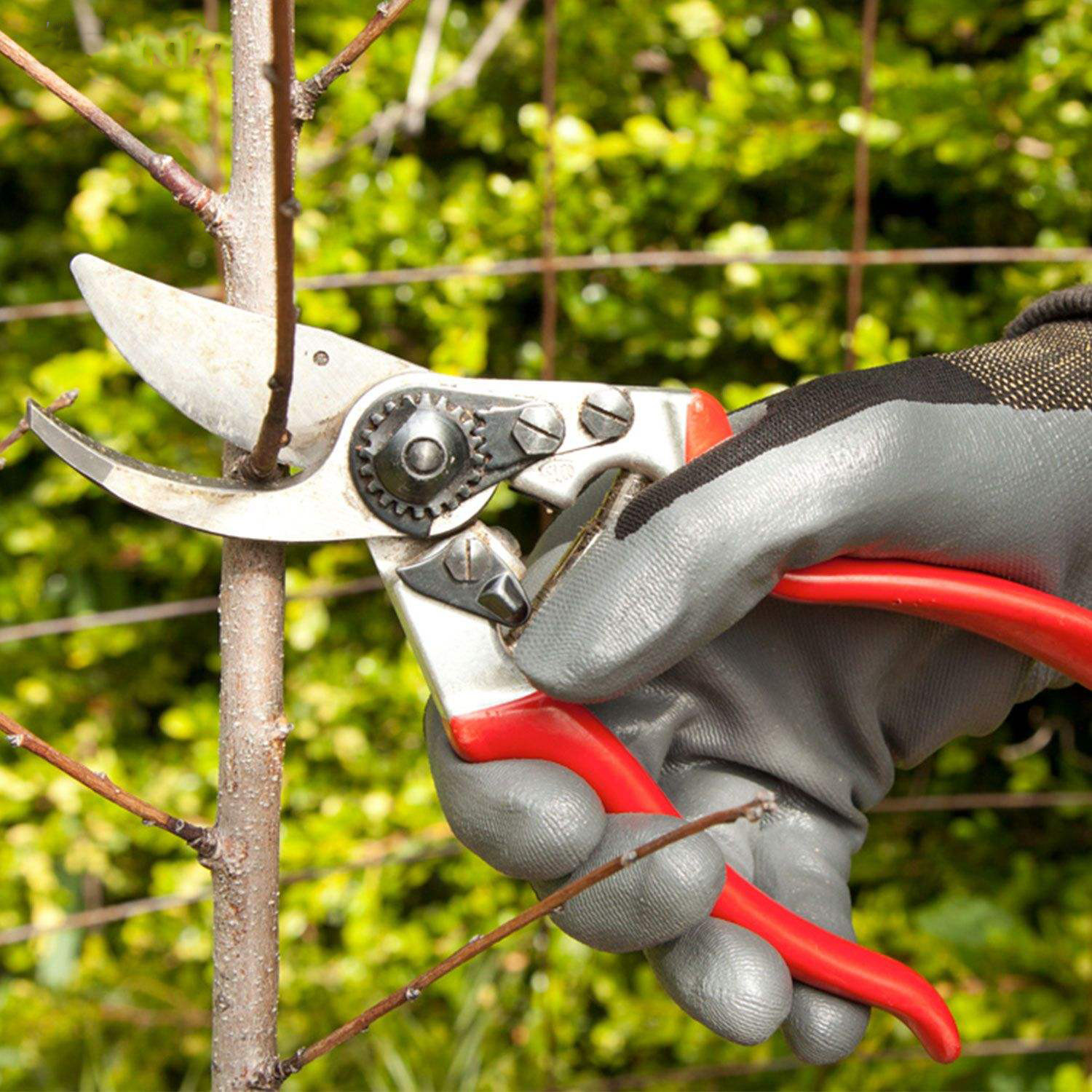 قیچی باغبانی فلکو کد 2