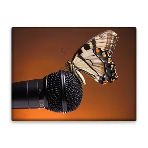 کاشی اطلس آبی طرح پروانه و بلندگو  مدل T5871