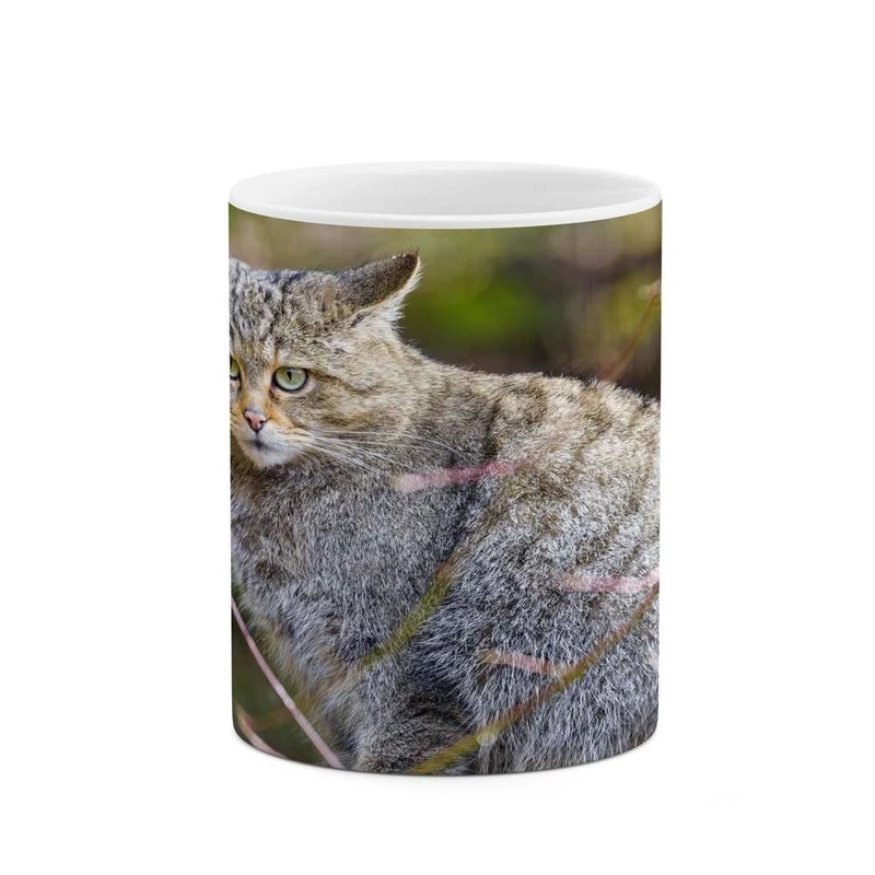 ماگ کاکتی مدل گربه کد mgh16446