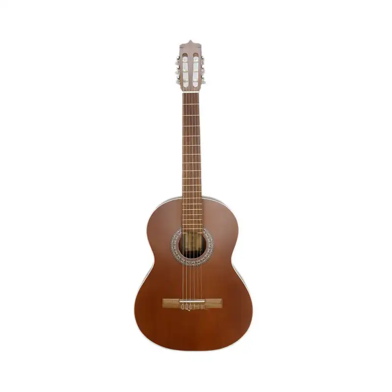 گیتار پارسی مدل p40