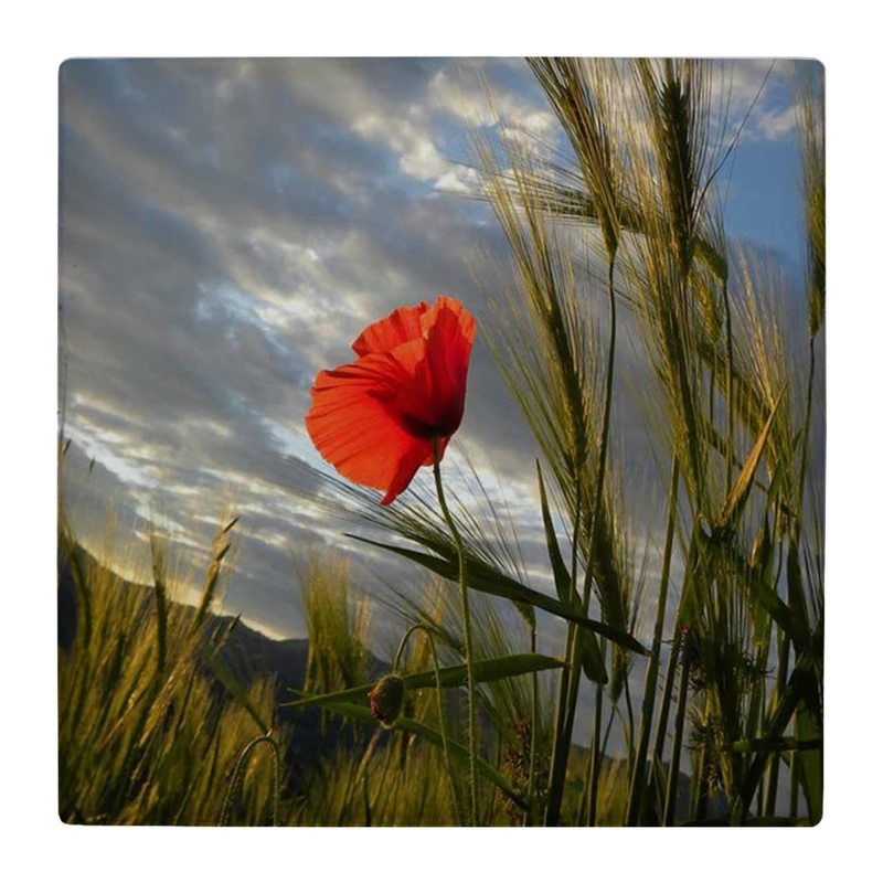  زیر لیوانی  طرح گل شقایق و منظره ابری کد    4862719_3822