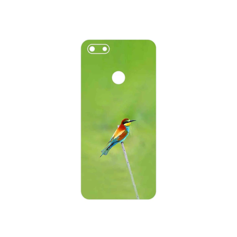 برچسب پوششی ماهوت مدل European bee-eater مناسب برای گوشی موبایل موتورولا Moto E6 Play