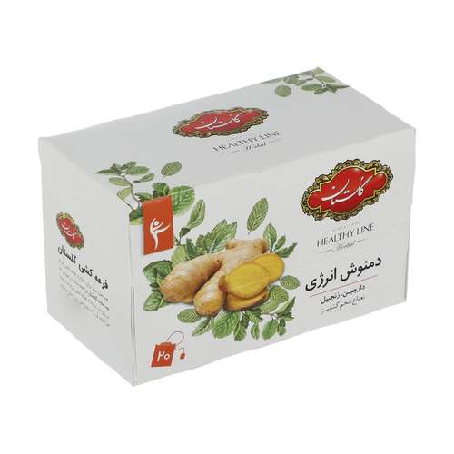 دمنوش مخلوط گیاهی انرژی گلستان بسته 20 عددی