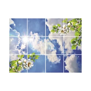 تایل سقفی آسمان مجازی مدل R25 سایز 60*60 سانتی متر مجموعه 12 عددی