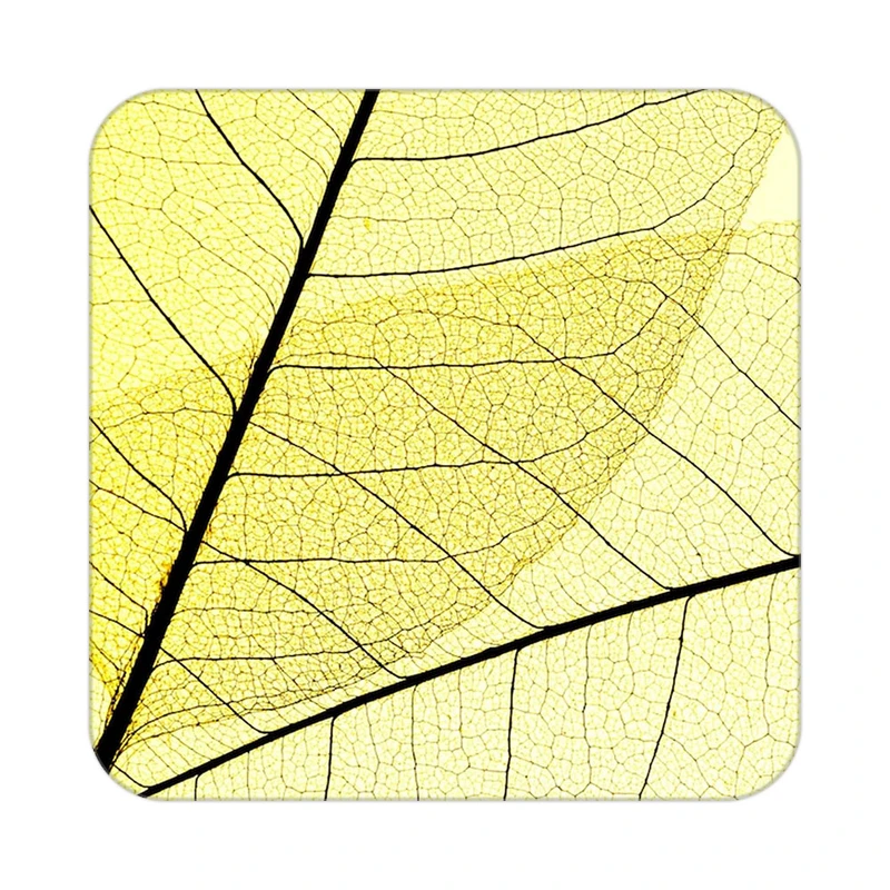 زیر لیوانی کاکتی طرح گل مدل mp17394