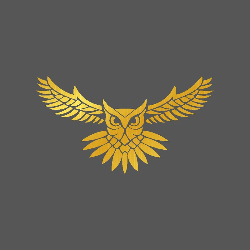 برچسب بدنه خودرو شیپرس طرح جغد کد Sb001T