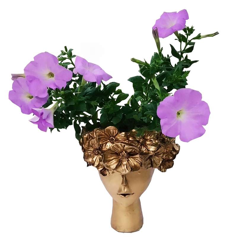 گیاه طبیعی گل اطلسی مدل C-12