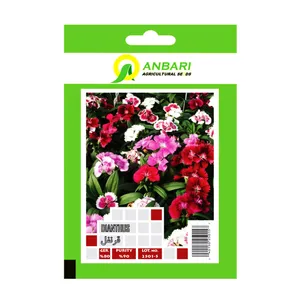 بذر گل قرنفل بذر عنبری کد BZA-024